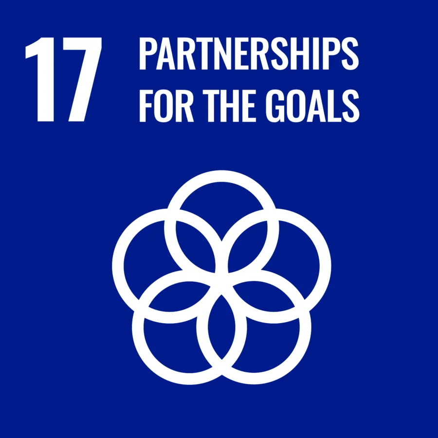 Goal 17 Partnerships for the goals